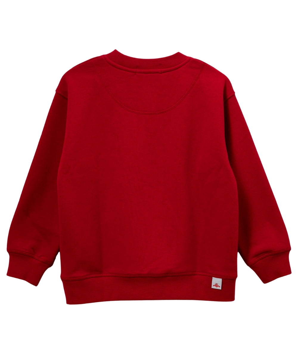 Replay & Sons Felpa Girocollo con Ricamo SB2074.050.23706 Rosso