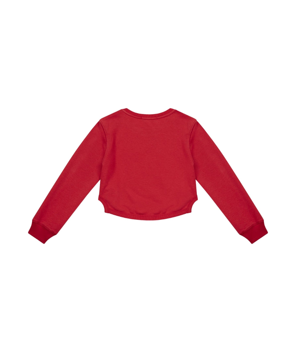 Replay & Sons Felpa con Logo in Misto Cotone SG2136.051.24078 Rosso