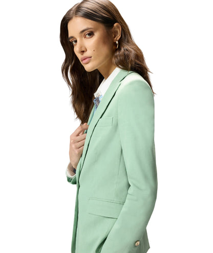 Pinko Giacca Monopetto in Misto Lino Ereda 106597 A34I Verde