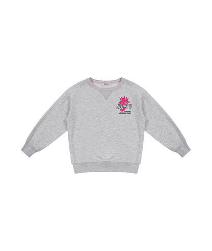 Replay & Sons Felpa con Stampe in Misto Cotone SG2138.050.24078 Grigio Melange