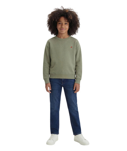 Replay & Sons Felpa con logo in Misto Cotone SB2075.052.24078 Verde Oliva