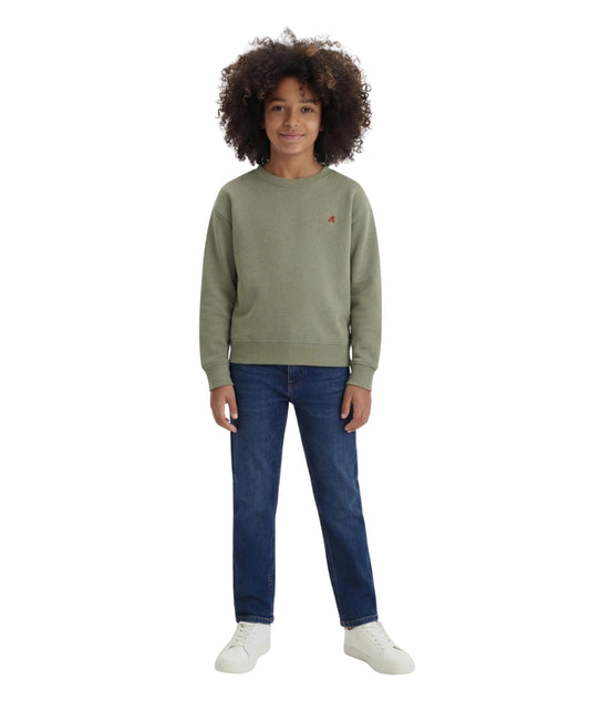 Replay & Sons Felpa con logo in Misto Cotone SB2075.052.24078 Verde Oliva