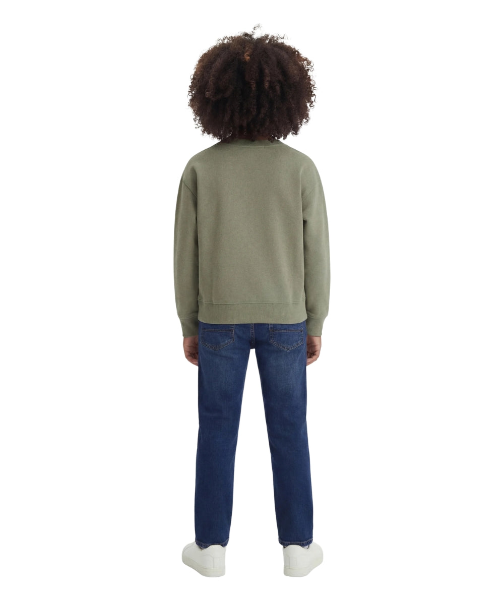 Replay & Sons Felpa con logo in Misto Cotone SB2075.052.24078 Verde Oliva